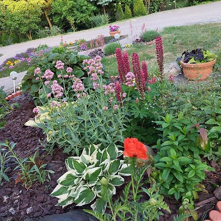 Magnolia Gospodarstwo Agroturystyczne Казимеж Долни Екстериор снимка